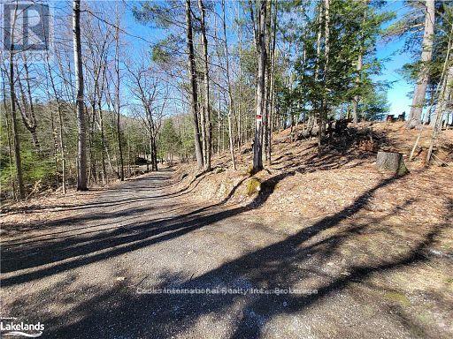 0 Highway 35 Highway, Lake Of Bays, Ontario  P0A 1E0 - Photo 20 - X11996909