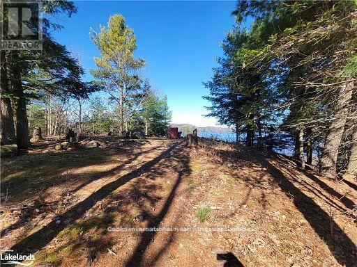 0 Highway 35 Highway, Lake Of Bays, Ontario  P0A 1E0 - Photo 21 - X11996909