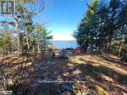 0 Highway 35 Highway, Lake Of Bays, Ontario  P0A 1E0 - Photo 23 - X11996909