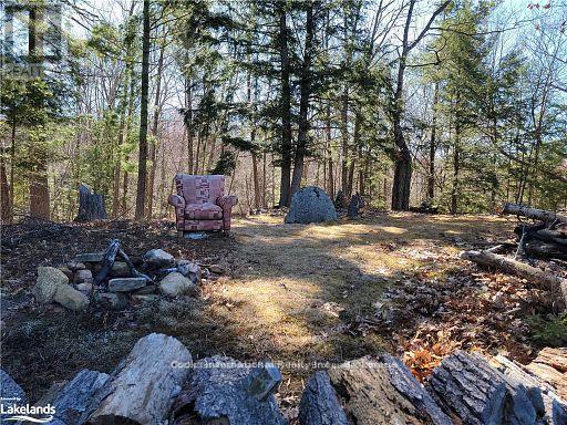 0 Highway 35 Highway, Lake Of Bays, Ontario  P0A 1E0 - Photo 24 - X11996909