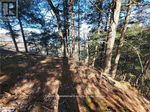 0 Highway 35 Highway, Lake Of Bays, Ontario  P0A 1E0 - Photo 25 - X11996909