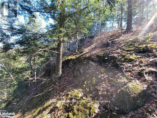 0 Highway 35 Highway, Lake Of Bays, Ontario  P0A 1E0 - Photo 29 - X11996909