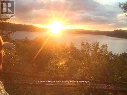 0 Highway 35 Highway, Lake Of Bays, Ontario  P0A 1E0 - Photo 3 - X11996909