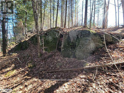 0 Highway 35 Highway, Lake Of Bays, Ontario  P0A 1E0 - Photo 31 - X11996909