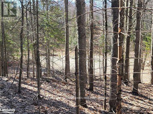 0 Highway 35 Highway, Lake Of Bays, Ontario  P0A 1E0 - Photo 32 - X11996909