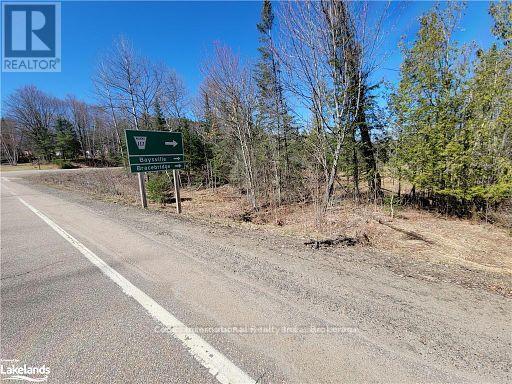 0 Highway 35 Highway, Lake Of Bays, Ontario  P0A 1E0 - Photo 33 - X11996909
