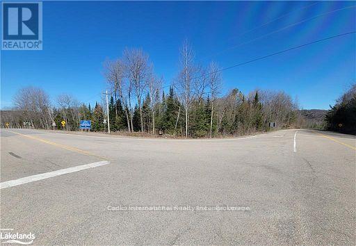 0 Highway 35 Highway, Lake Of Bays, Ontario  P0A 1E0 - Photo 34 - X11996909