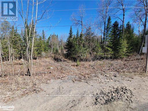 0 Highway 35 Highway, Lake Of Bays, Ontario  P0A 1E0 - Photo 38 - X11996909
