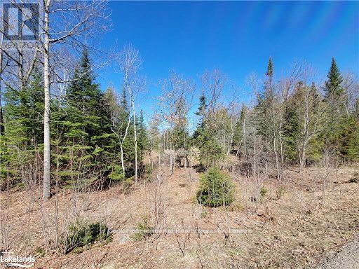 0 Highway 35 Highway, Lake Of Bays, Ontario  P0A 1E0 - Photo 39 - X11996909