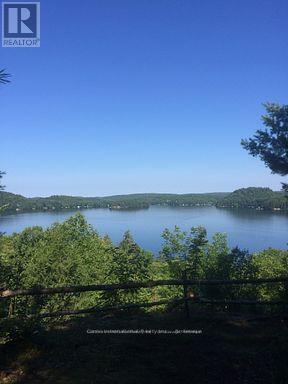 0 Highway 35 Highway, Lake Of Bays, Ontario  P0A 1E0 - Photo 4 - X11996909