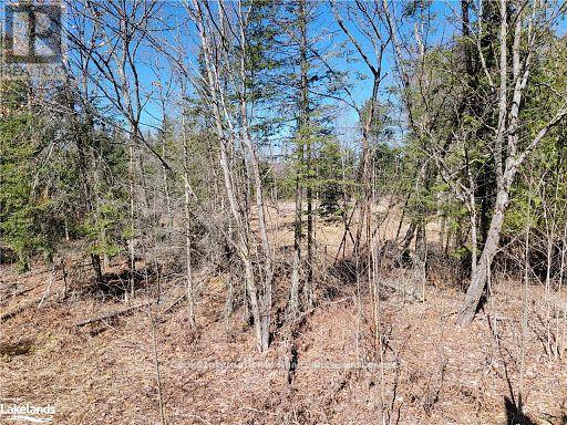 0 Highway 35 Highway, Lake Of Bays, Ontario  P0A 1E0 - Photo 40 - X11996909