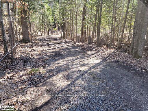 0 Highway 35 Highway, Lake Of Bays, Ontario  P0A 1E0 - Photo 41 - X11996909