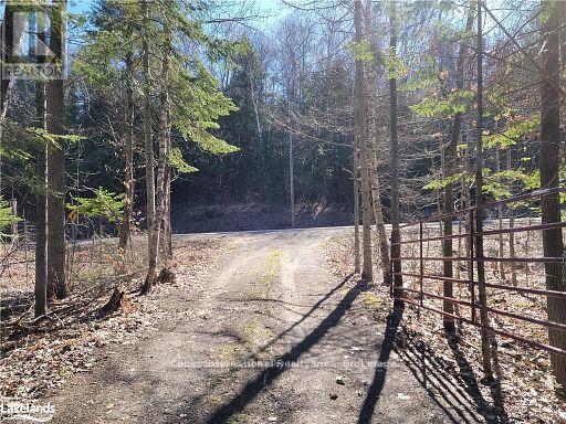 0 Highway 35 Highway, Lake Of Bays, Ontario  P0A 1E0 - Photo 42 - X11996909