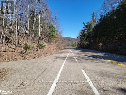 0 Highway 35 Highway, Lake Of Bays, Ontario  P0A 1E0 - Photo 43 - X11996909