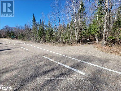 0 Highway 35 Highway, Lake Of Bays, Ontario  P0A 1E0 - Photo 44 - X11996909
