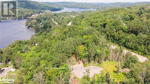 0 Highway 35 Highway, Lake Of Bays, Ontario  P0A 1E0 - Photo 47 - X11996909