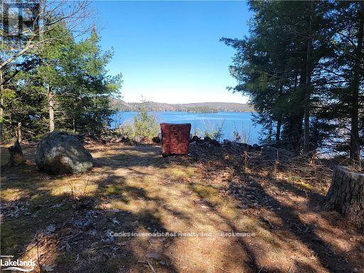 0 Highway 35 Highway, Lake Of Bays, Ontario  P0A 1E0 - Photo 7 - X11996909