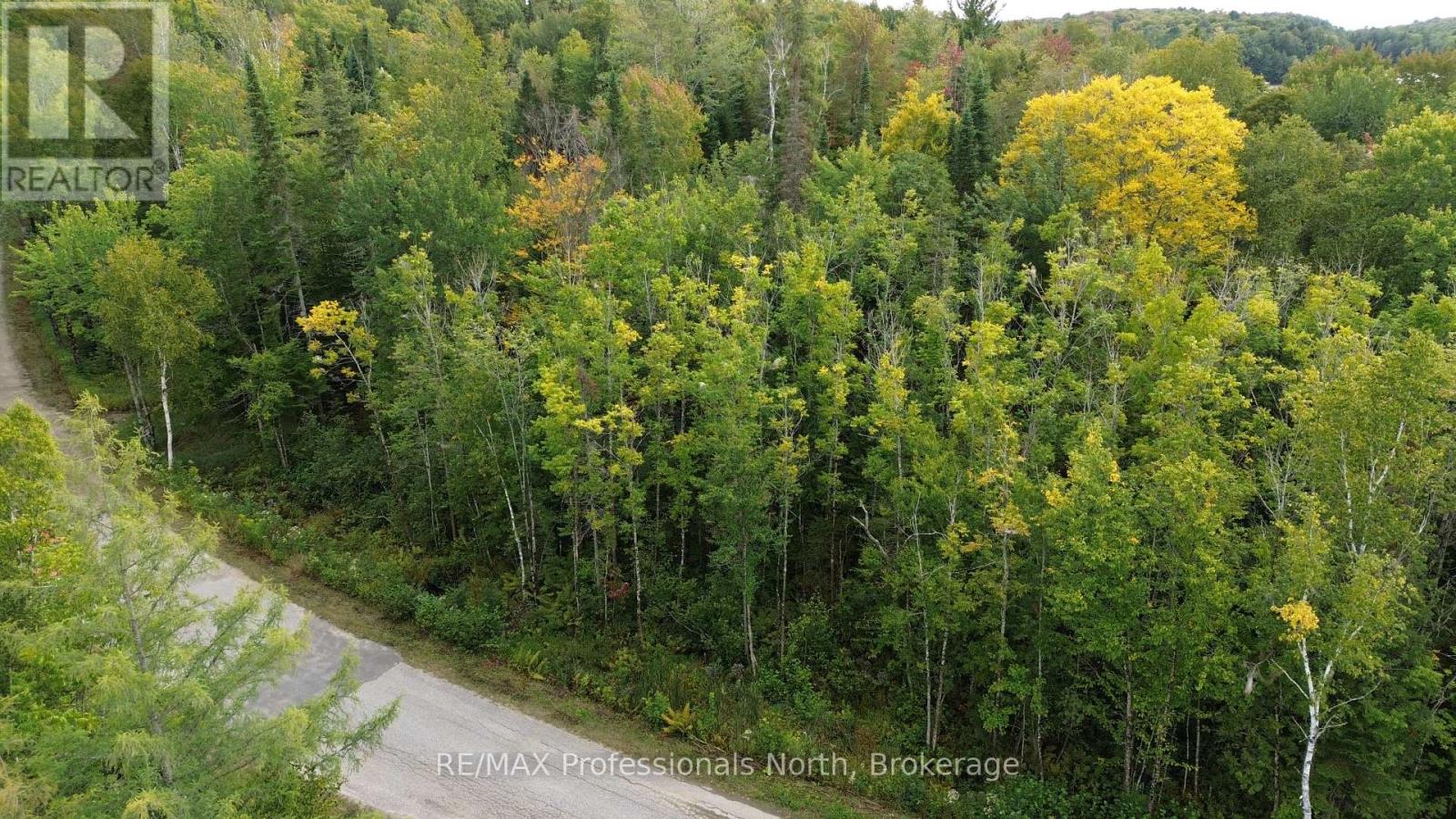 Pcl 20438 & 29803 Upper Walker Lake Rd Road, Lake Of Bays, Ontario  P1H 2J6 - Photo 7 - X12039113