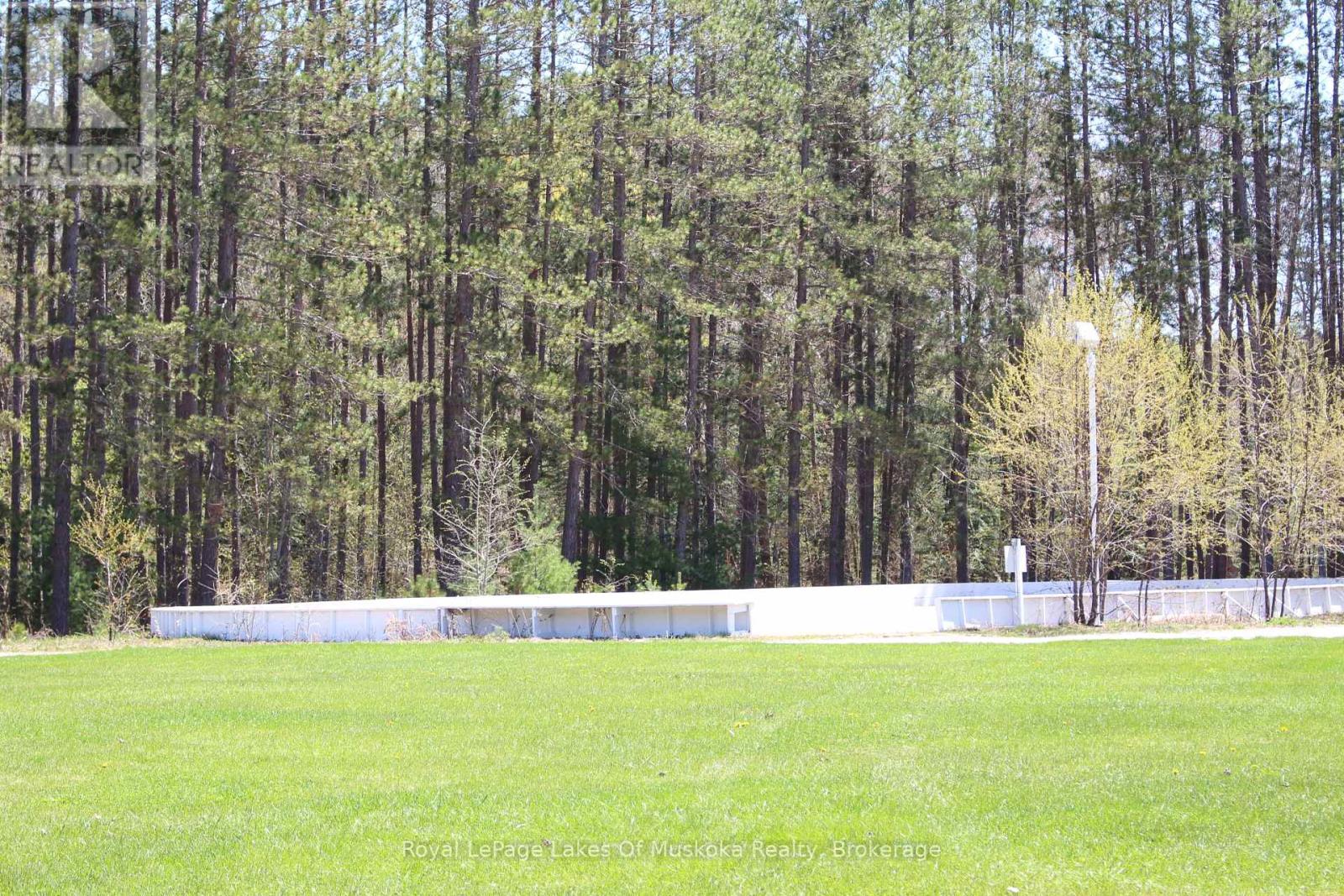 V 14 W 3 - 1020 Birch Glen Road, Lake Of Bays, Ontario  P0B 1A0 - Photo 20 - X12045273