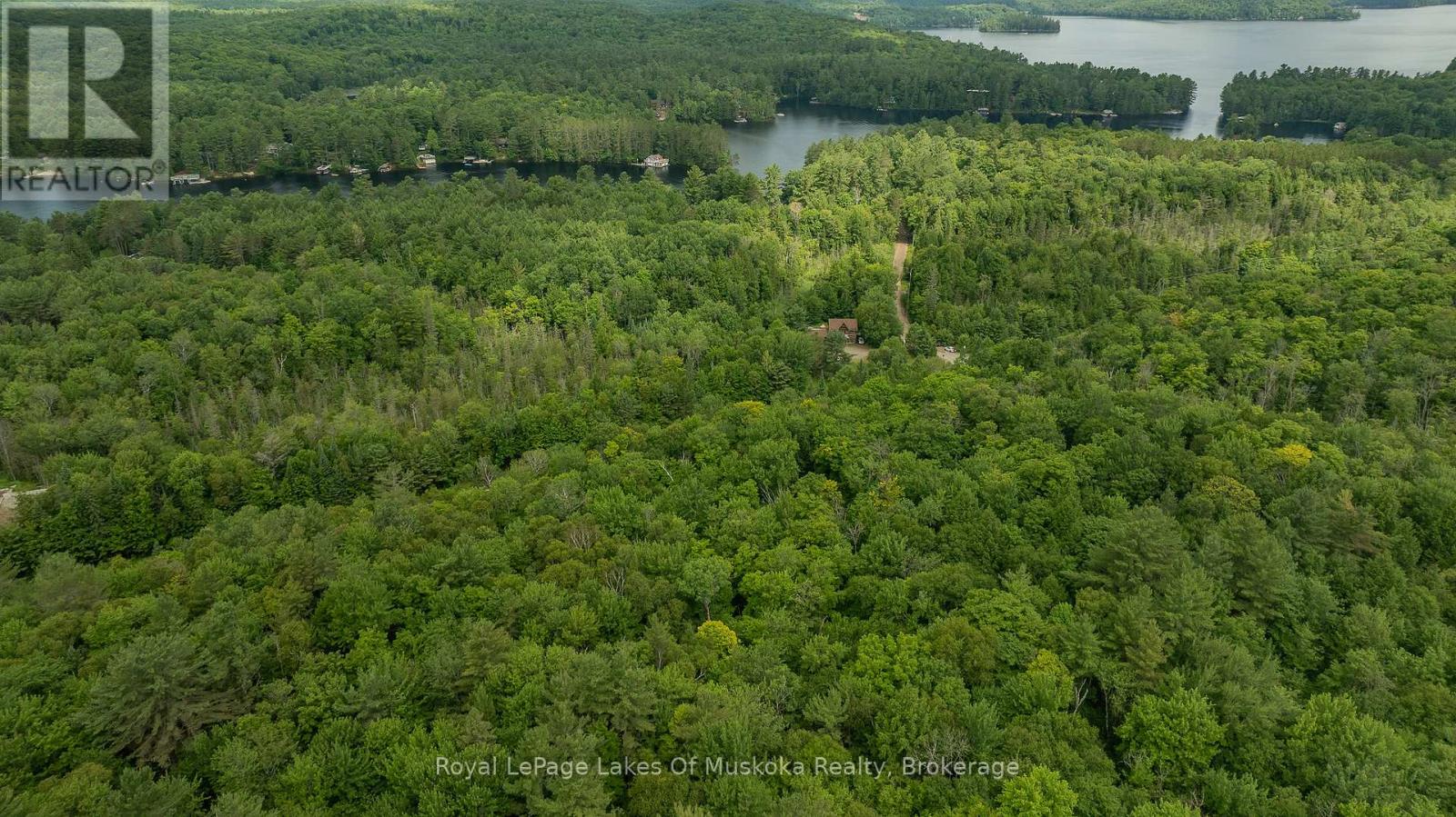 2750 Muskoka 117 Road, Lake Of Bays, Ontario  P0B 1A0 - Photo 4 - X12066404