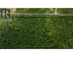 2750 MUSKOKA 117 ROAD, Lake of Bays, Ontario