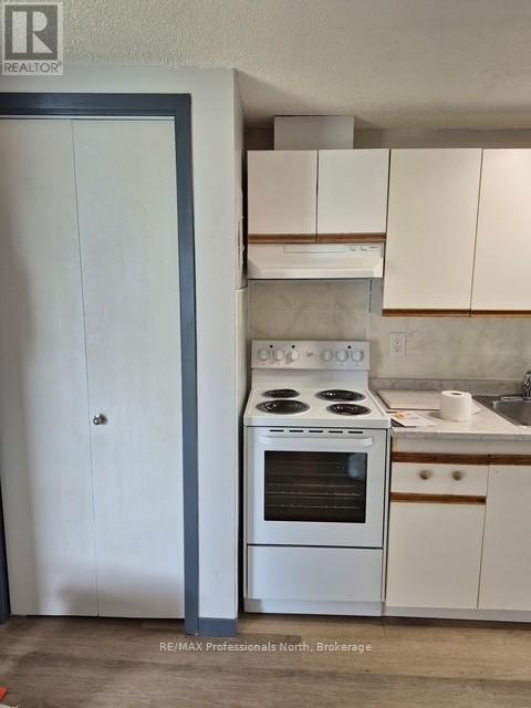 148 Park Road, Bracebridge, Ontario  P1L 1H9 - Photo 11 - X12104211