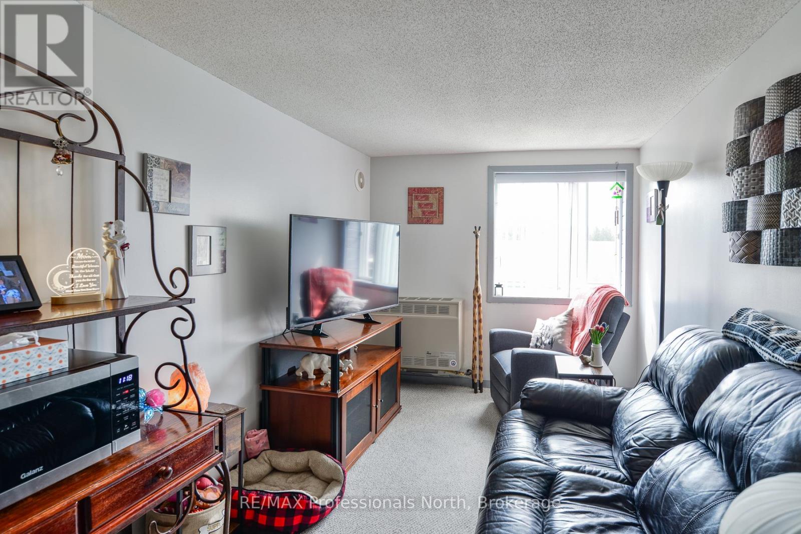 148 Park Road, Bracebridge, Ontario  P1L 1H9 - Photo 18 - X12104211