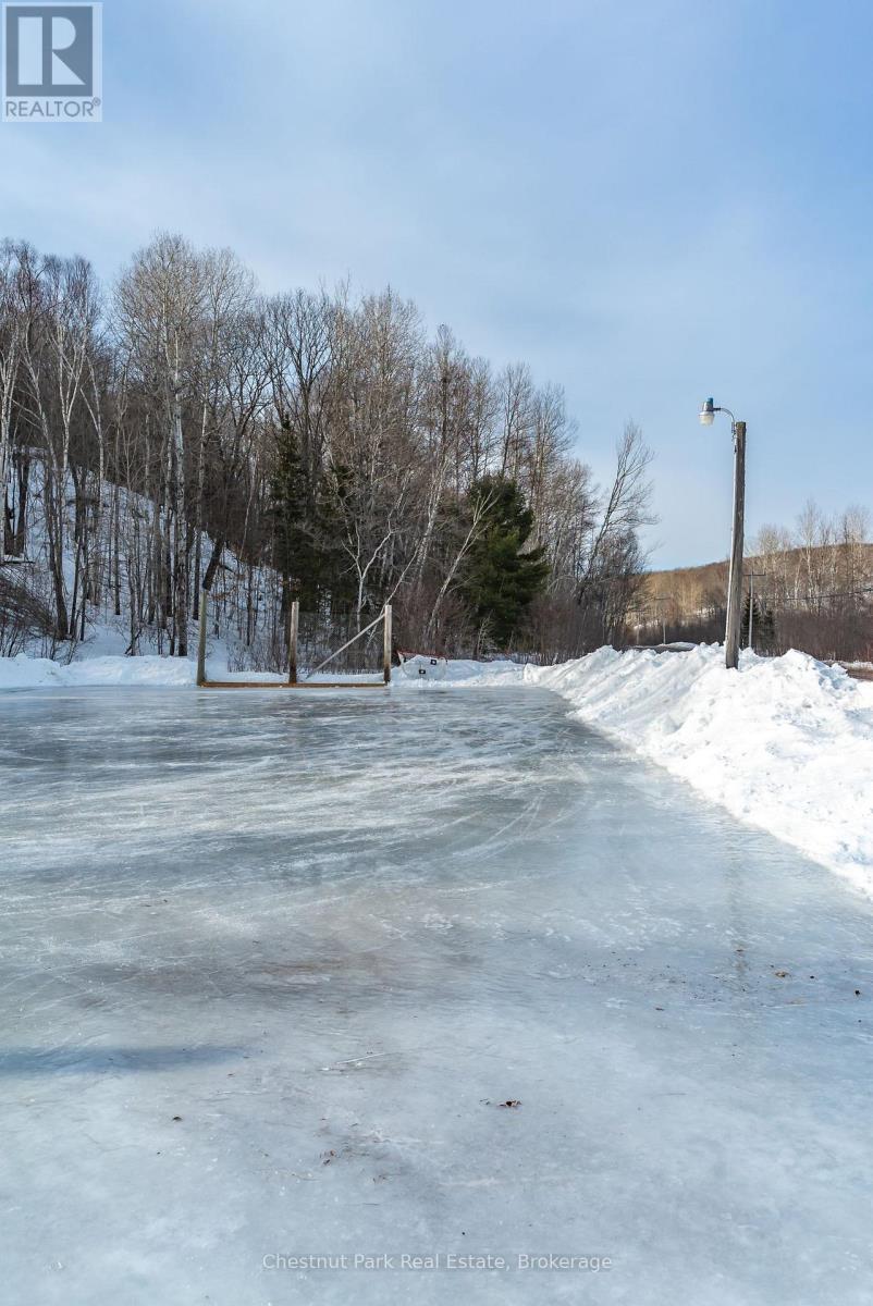116-1 - 1052 Rat Bay Road, Lake Of Bays, Ontario  P1H 2J6 - Photo 41 - X12107211