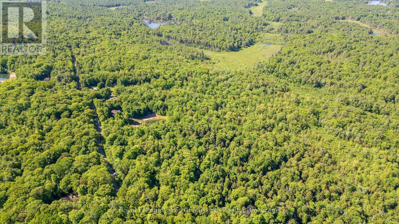 1061 South Muldrew Lake Road, Gravenhurst, Ontario  P0E 1G0 - Photo 10 - X12107988