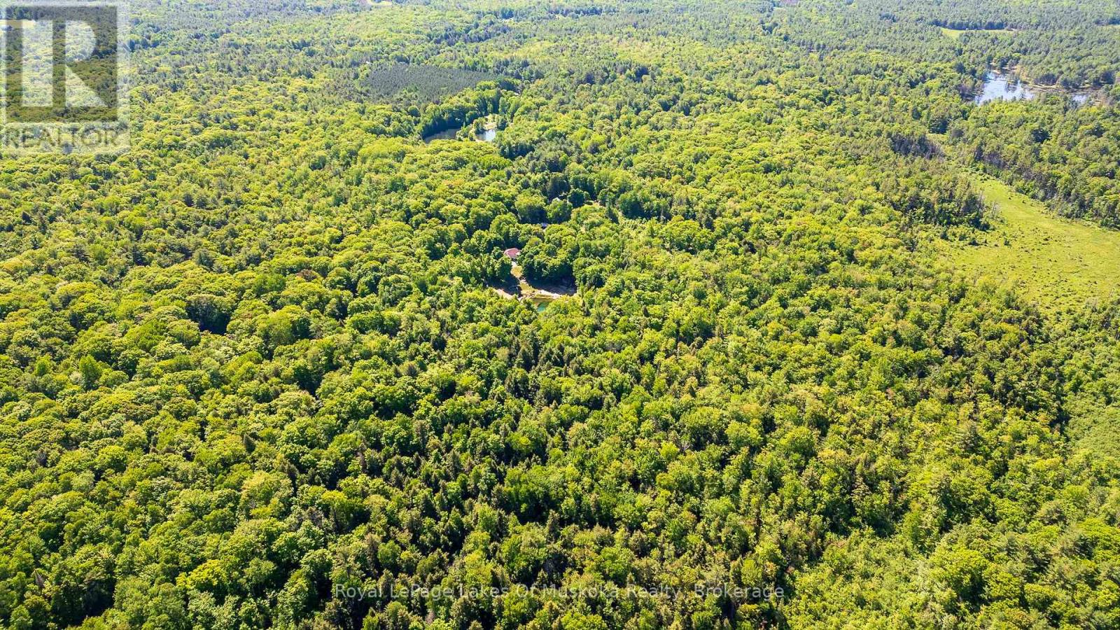 1061 South Muldrew Lake Road, Gravenhurst, Ontario  P0E 1G0 - Photo 11 - X12107988