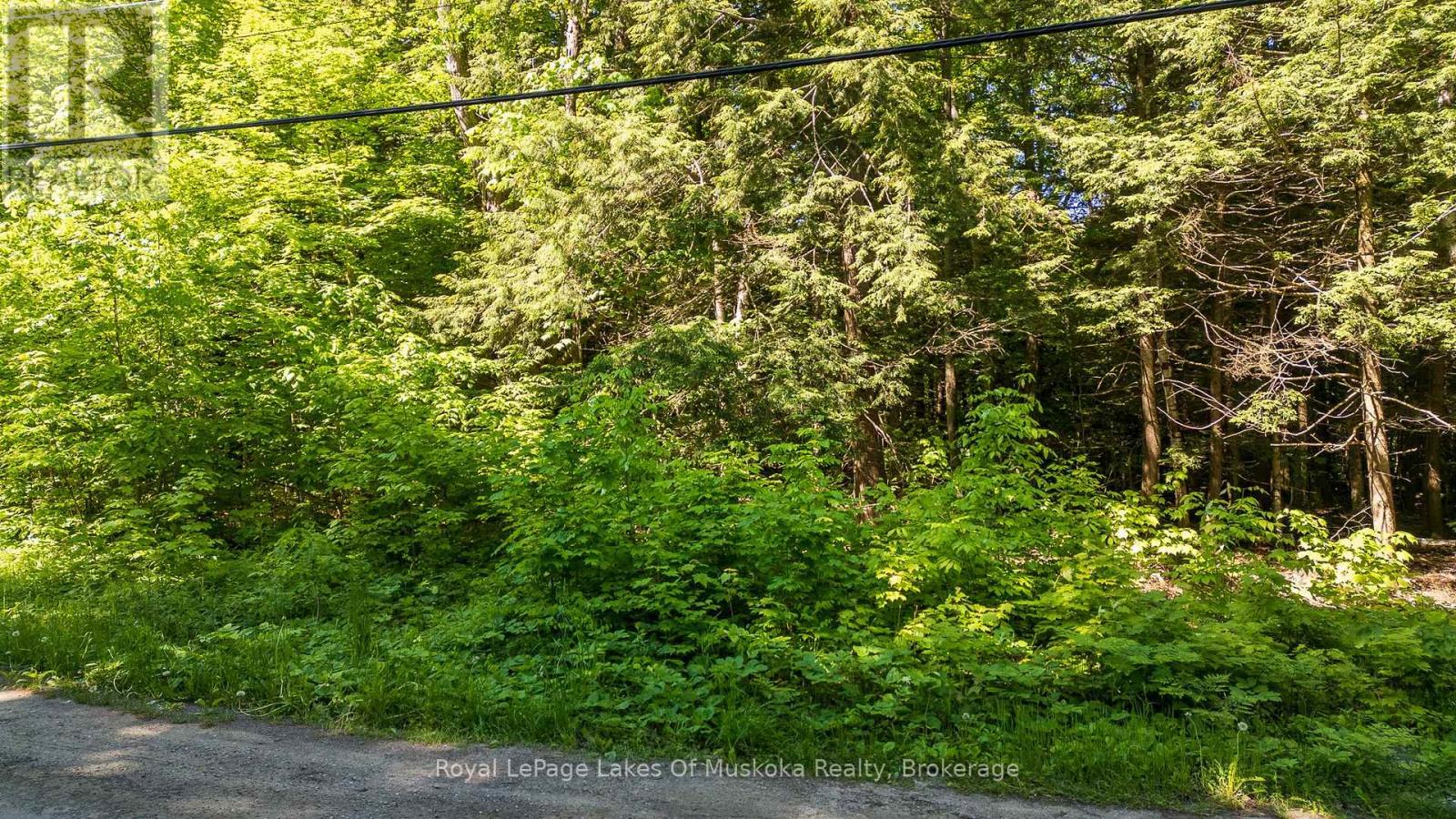 1061 South Muldrew Lake Road, Gravenhurst, Ontario  P0E 1G0 - Photo 2 - X12107988