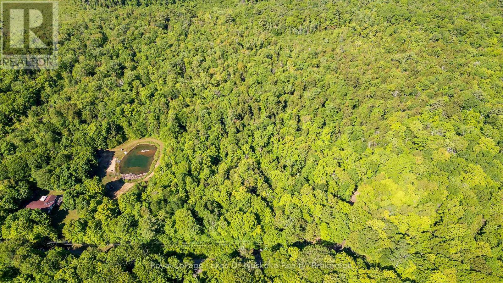 1061 South Muldrew Lake Road, Gravenhurst, Ontario  P0E 1G0 - Photo 3 - X12107988