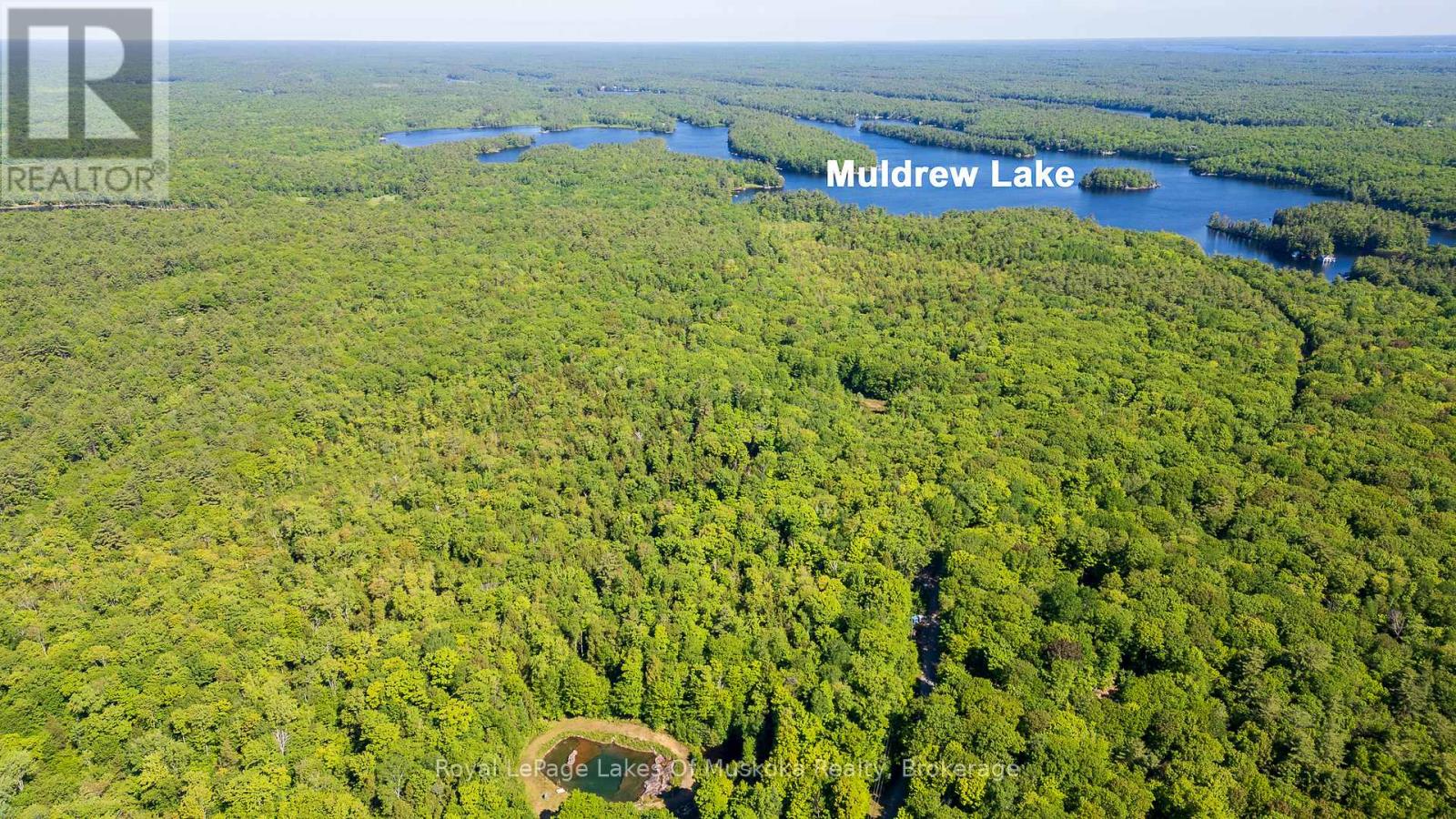 1061 South Muldrew Lake Road, Gravenhurst, Ontario  P0E 1G0 - Photo 4 - X12107988