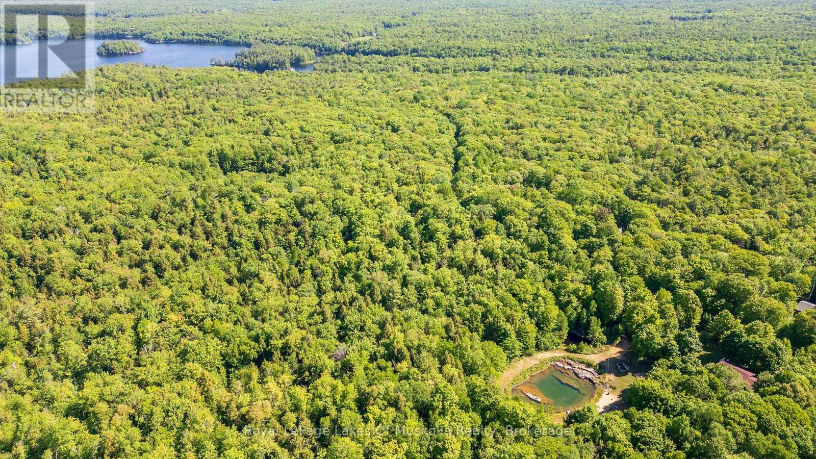 1061 South Muldrew Lake Road, Gravenhurst, Ontario  P0E 1G0 - Photo 6 - X12107988