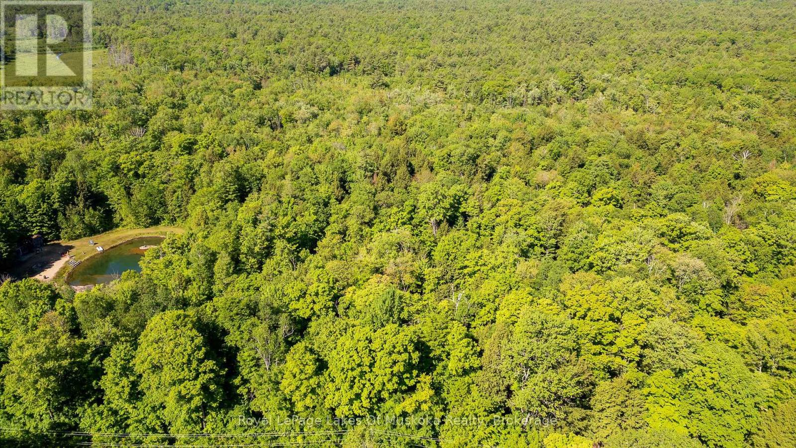 1061 South Muldrew Lake Road, Gravenhurst, Ontario  P0E 1G0 - Photo 9 - X12107988