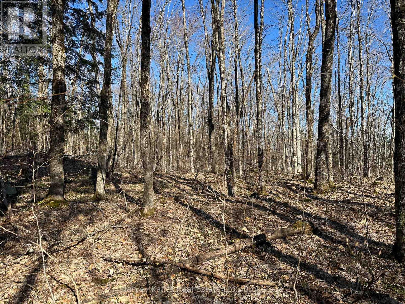 Con 1 Pt Lot 12 Barlochan Road, Muskoka Lakes, Ontario  P1P 1R2 - Photo 1 - X12113749
