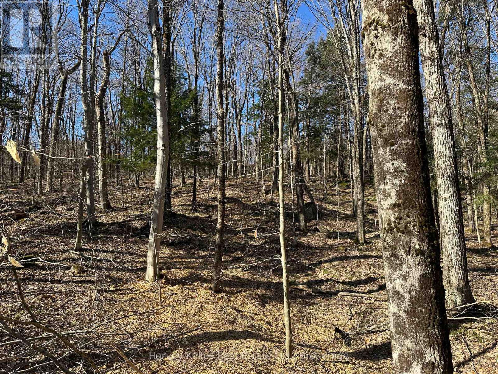 Con 1 Pt Lot 12 Barlochan Road, Muskoka Lakes, Ontario  P1P 1R2 - Photo 15 - X12113749