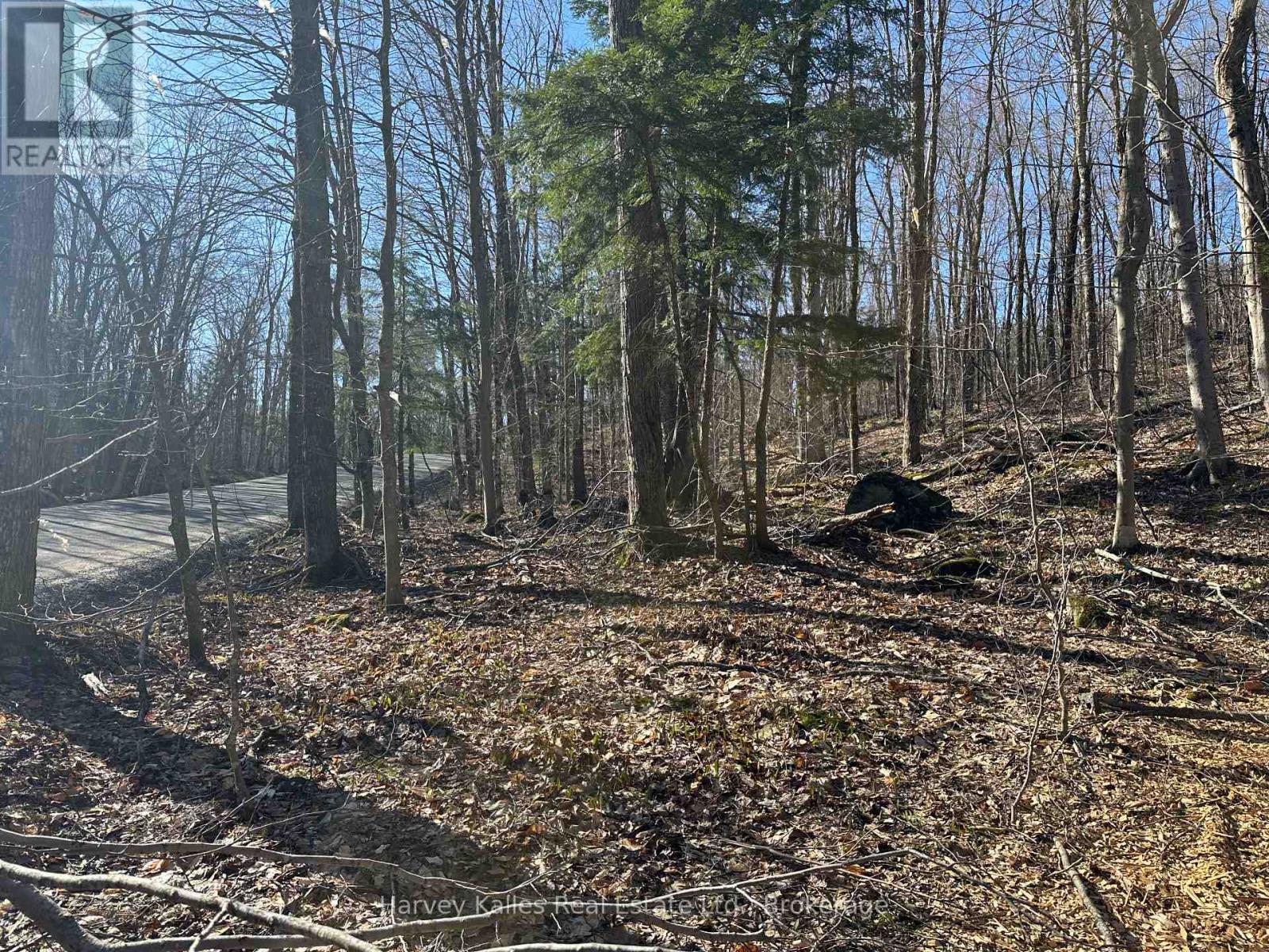 Con 1 Pt Lot 12 Barlochan Road, Muskoka Lakes, Ontario  P1P 1R2 - Photo 17 - X12113749