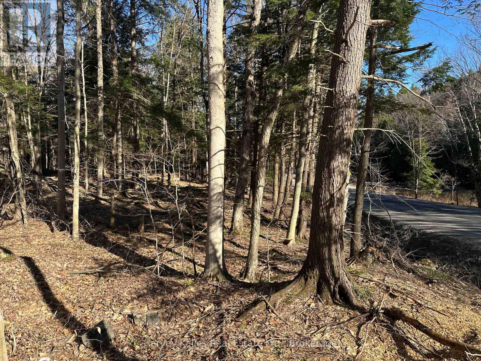 Con 1 Pt Lot 12 Barlochan Road, Muskoka Lakes, Ontario  P1P 1R2 - Photo 18 - X12113749