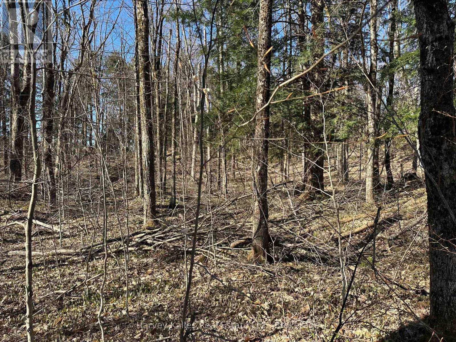 Con 1 Pt Lot 12 Barlochan Road, Muskoka Lakes, Ontario  P1P 1R2 - Photo 21 - X12113749