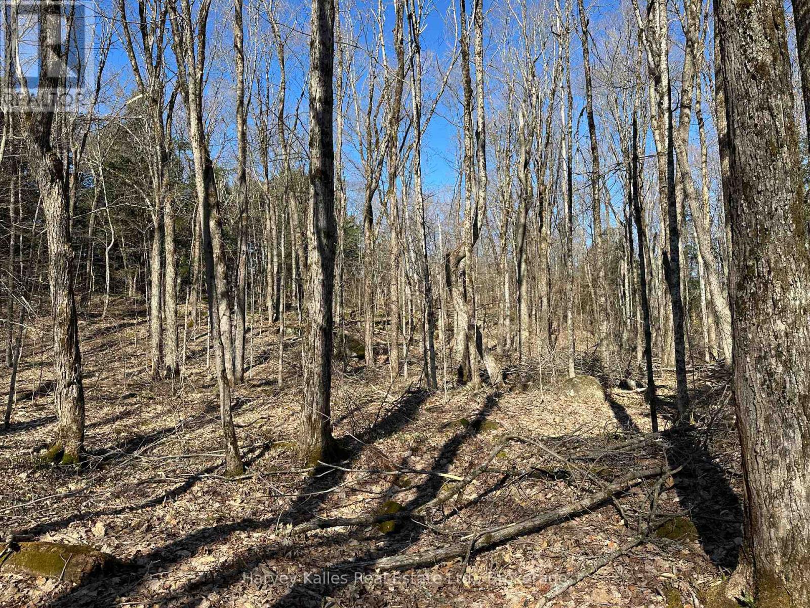 Con 1 Pt Lot 12 Barlochan Road, Muskoka Lakes, Ontario  P1P 1R2 - Photo 22 - X12113749