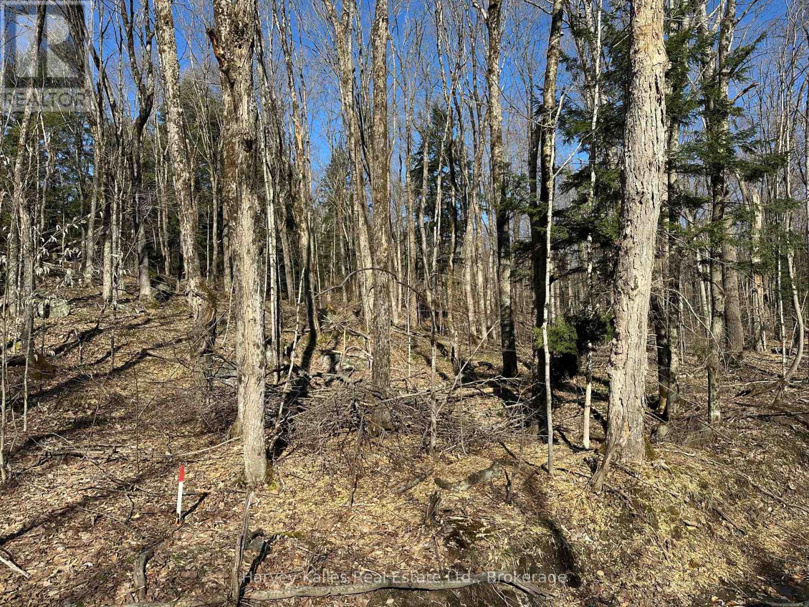 Con 1 Pt Lot 12 Barlochan Road, Muskoka Lakes, Ontario  P1P 1R2 - Photo 23 - X12113749