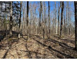 CON 1 PT LOT 12 BARLOCHAN ROAD, Muskoka Lakes, Ontario