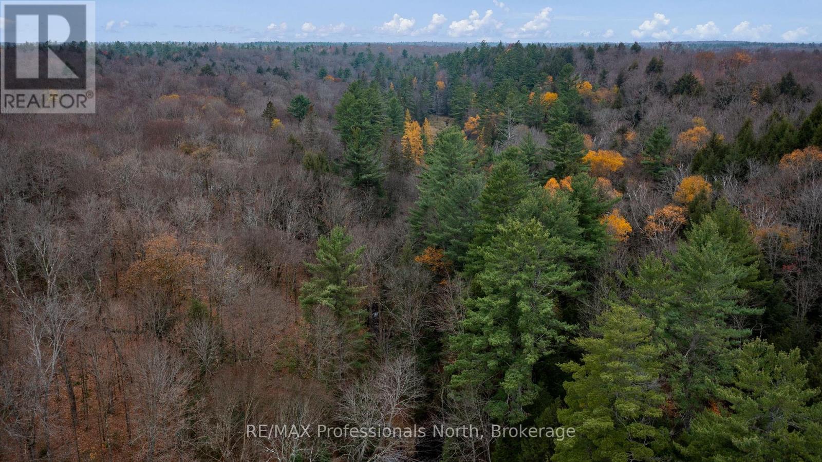 Lot 1 Carlsmount Road, Bracebridge, Ontario  P1L 1X1 - Photo 3 - X12119881