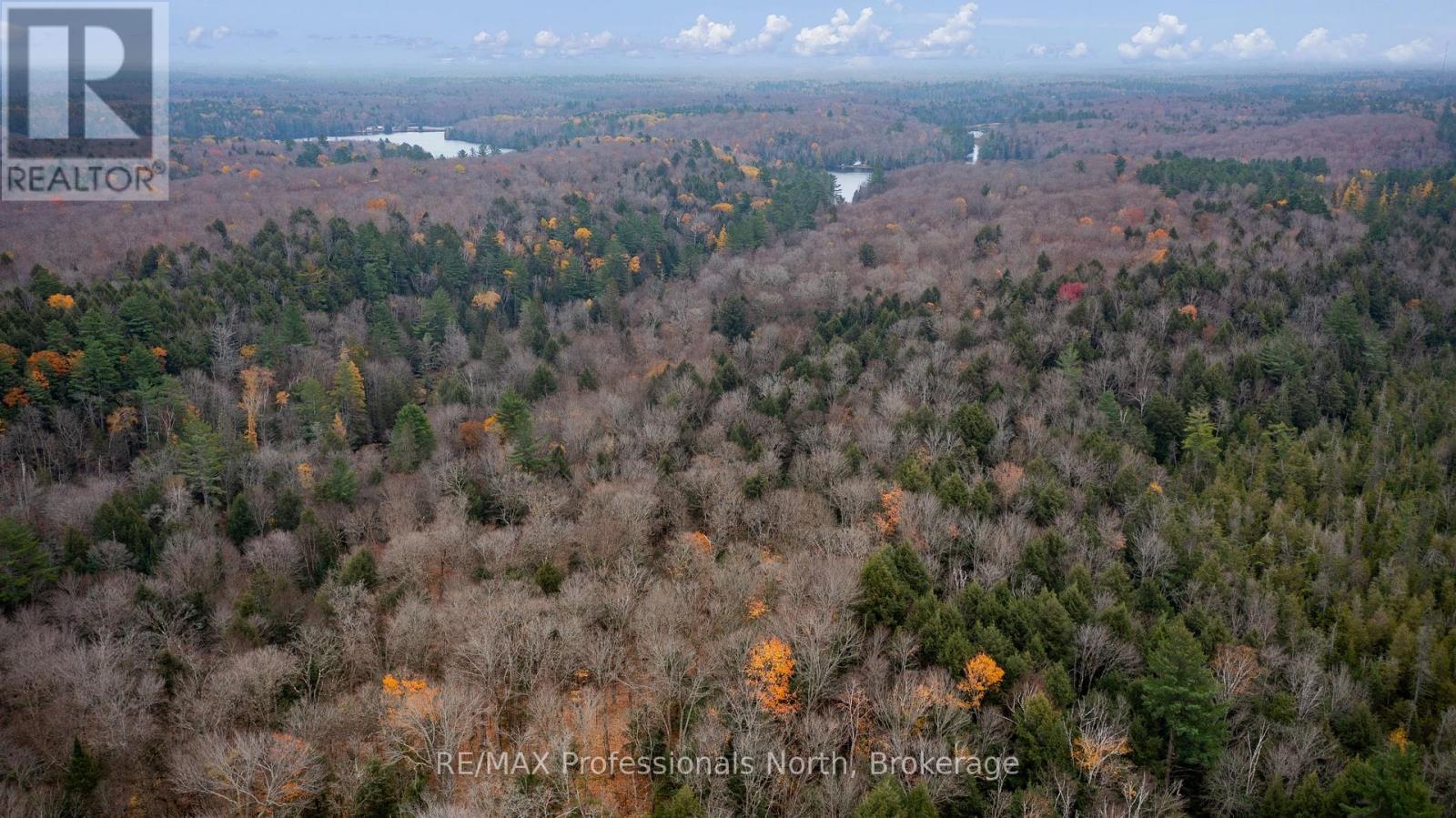 Lot 1 Carlsmount Road, Bracebridge, Ontario  P1L 1X1 - Photo 5 - X12119881