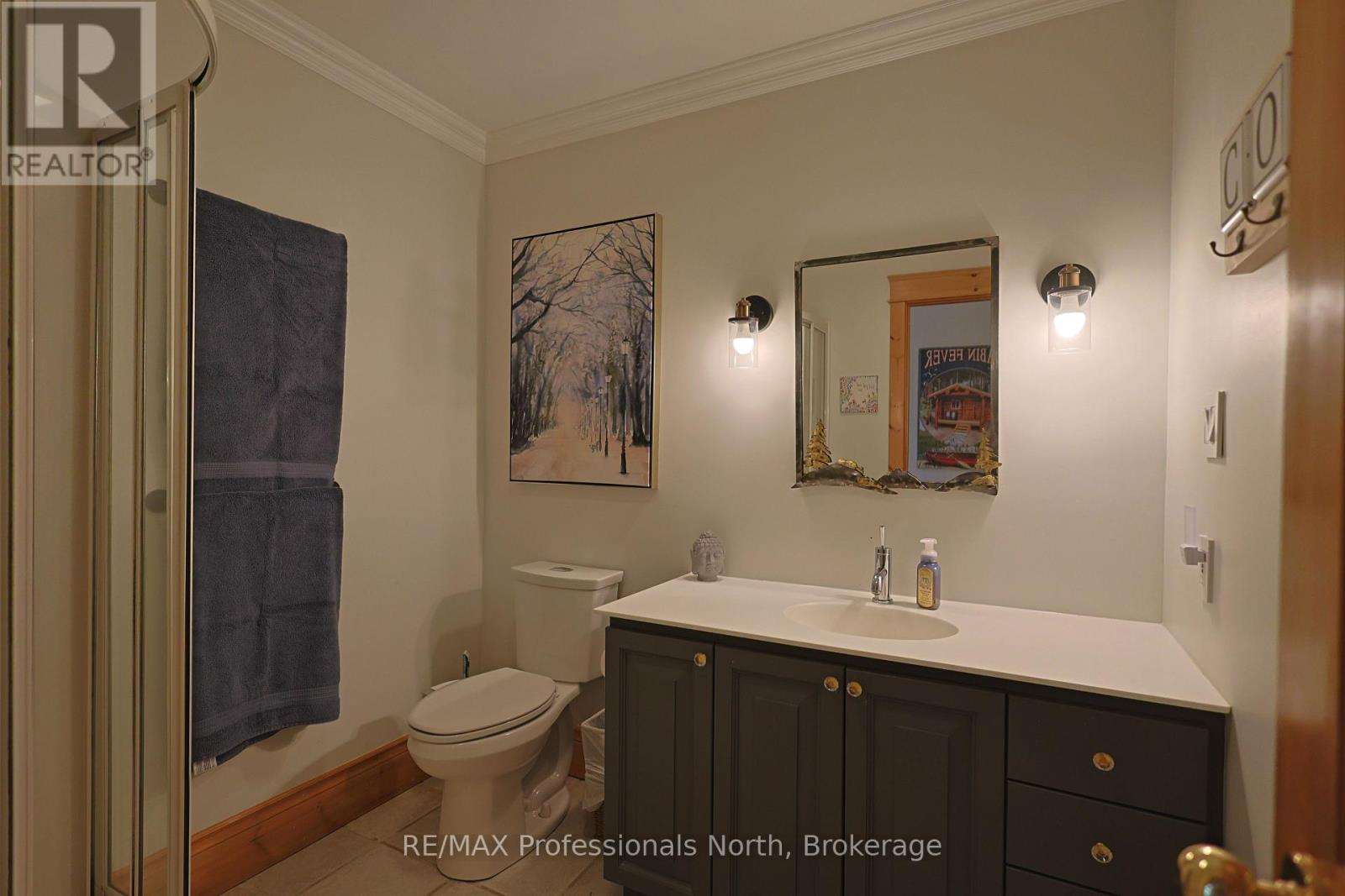 1013 Grey Street, Muskoka Lakes, Ontario  P0C 1A0 - Photo 15 - X12127152