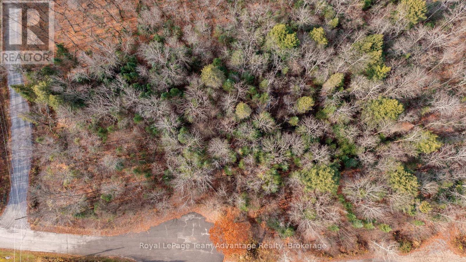 181 Clarkes Lane, Huntsville, Ontario  P0B 1M0 - Photo 13 - X12127716