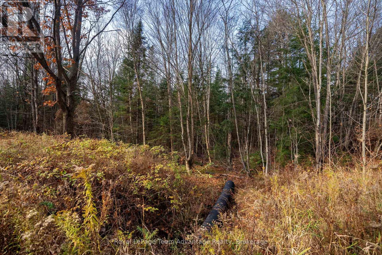 181 Clarkes Lane, Huntsville, Ontario  P0B 1M0 - Photo 14 - X12127716