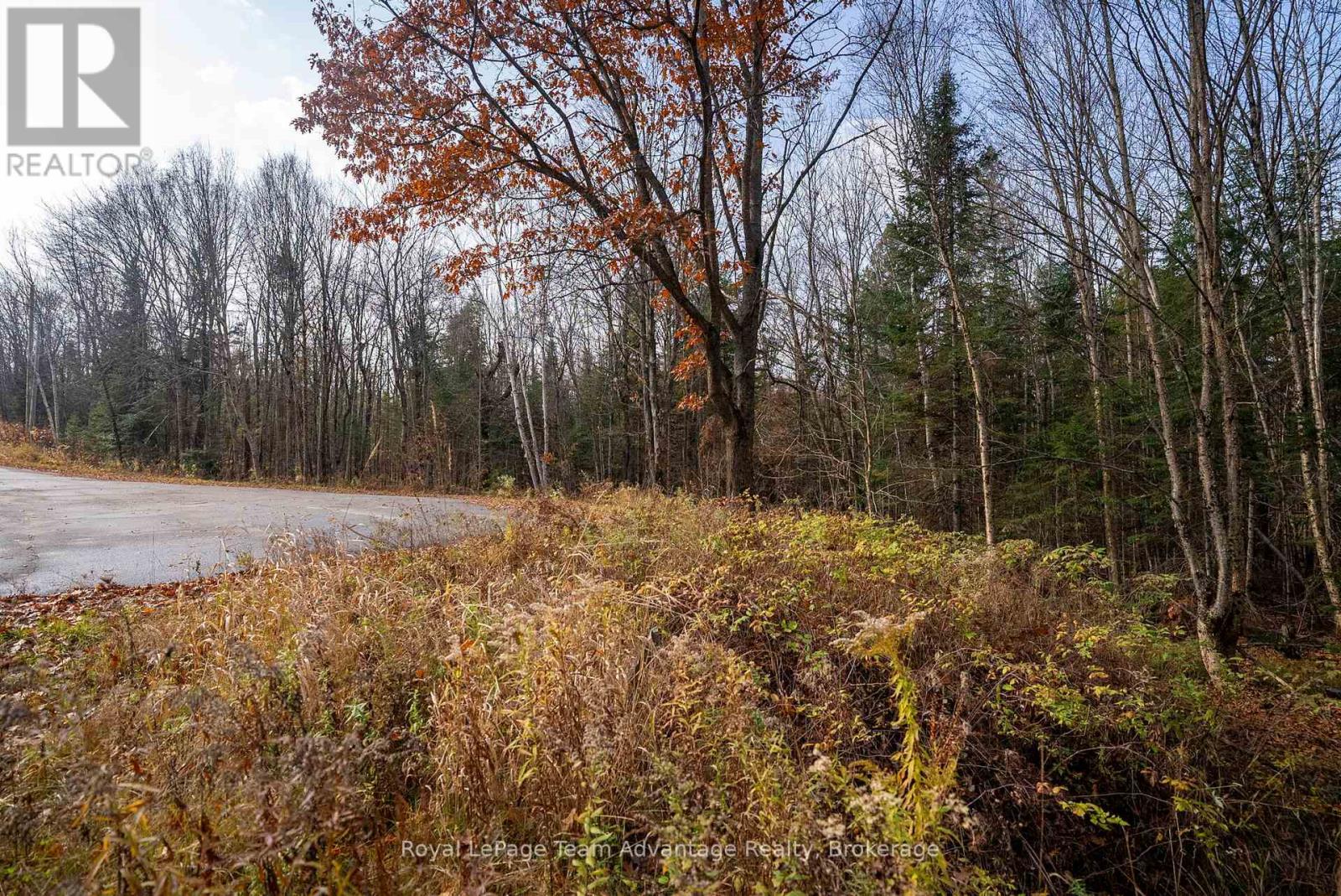 181 Clarkes Lane, Huntsville, Ontario  P0B 1M0 - Photo 15 - X12127716