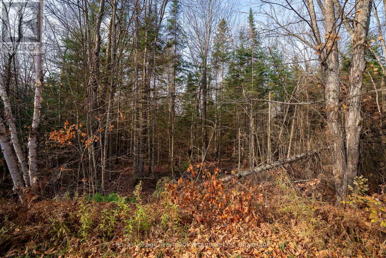 181 Clarkes Lane, Huntsville, Ontario  P0B 1M0 - Photo 16 - X12127716